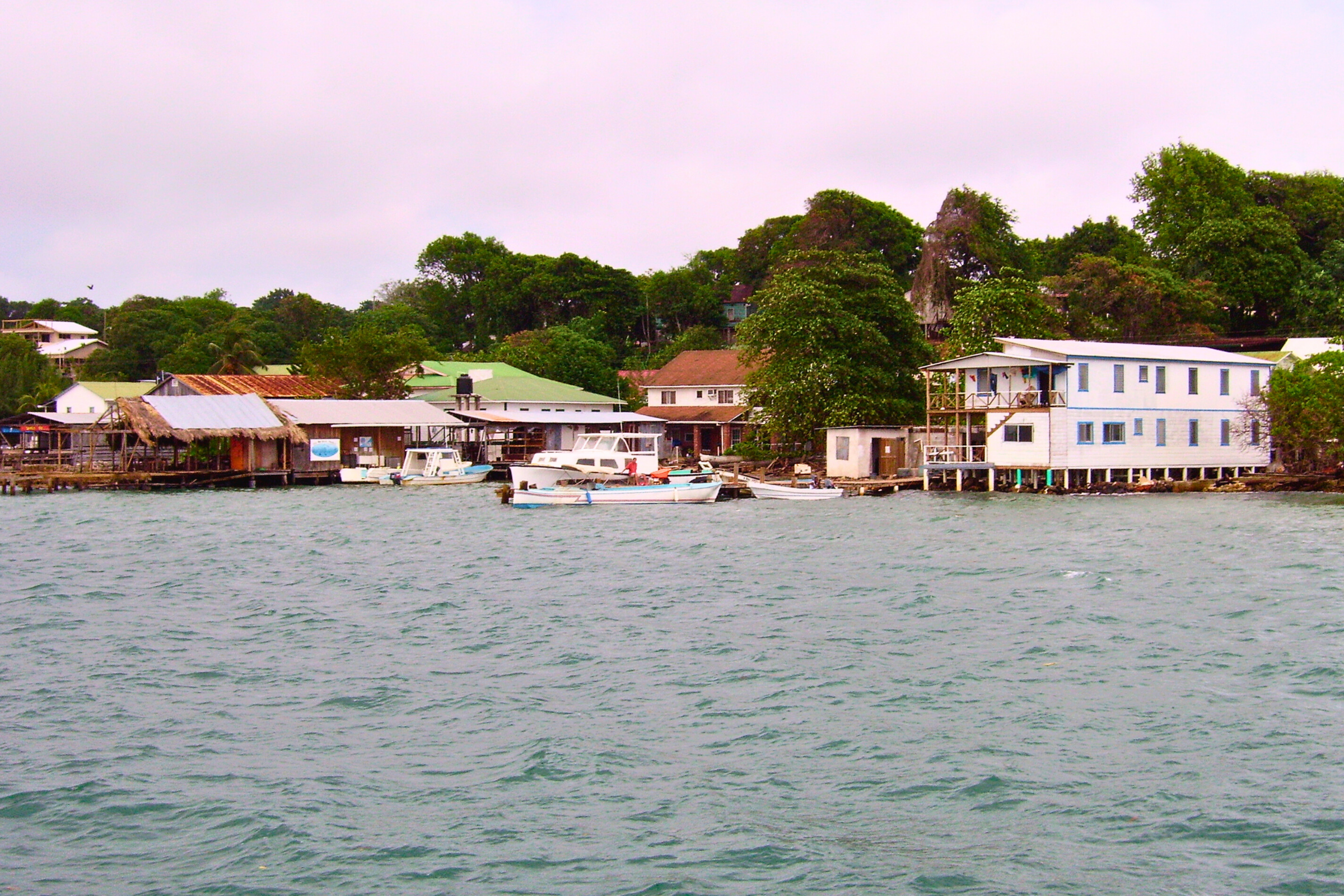 water caye, isla utila (3).webp